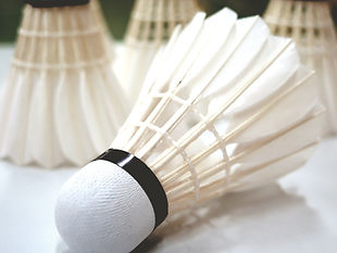 Le badminton d'ecublens, Bad pour Tous est une association sportive. N'hésitez à venir découvrir notre sport, le badminton et passer un moment sans complexes dans la bonne humeur ou tous niveaux confondus sont les bienvenus 16 ans révolu.