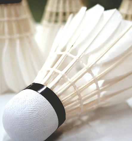 volants de badminton