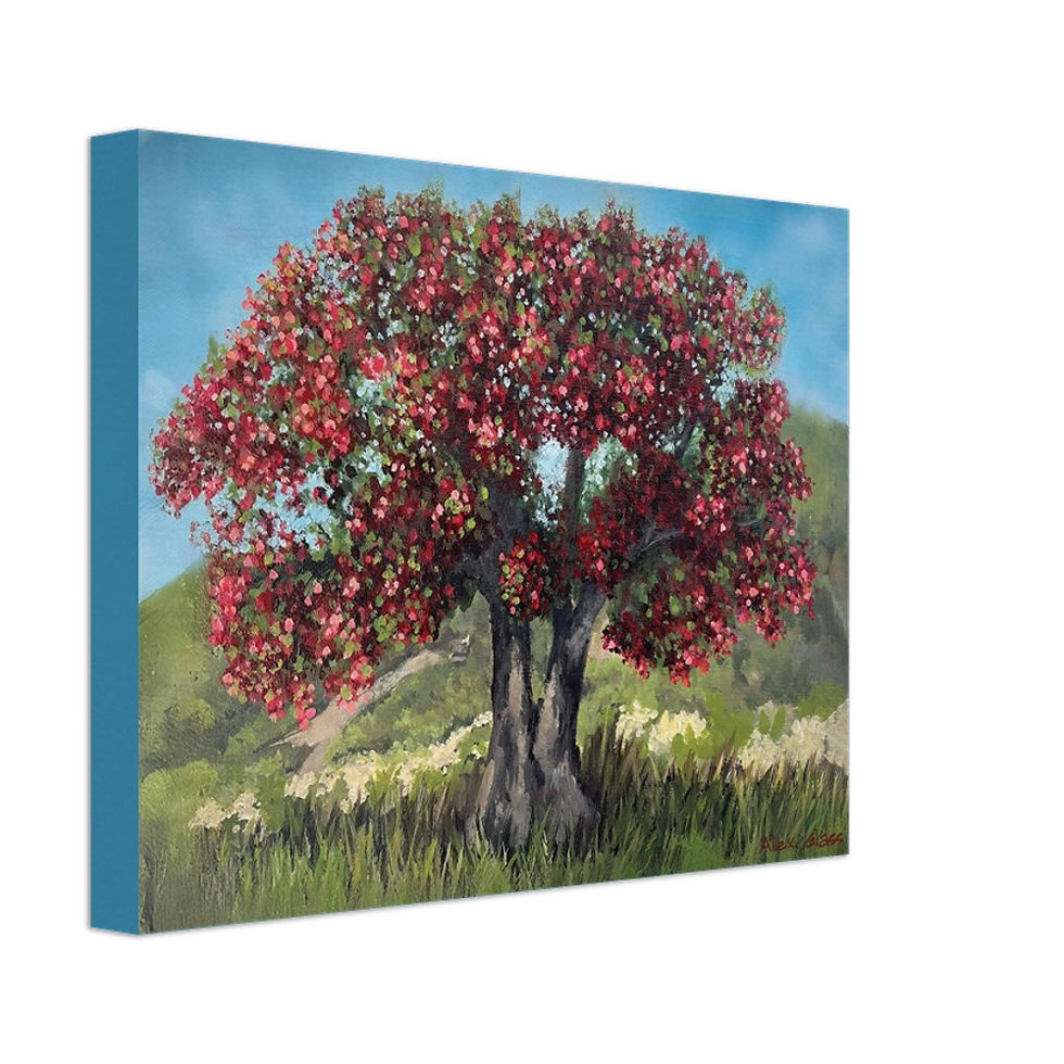 Thumbnail: "Coral Triumph" 2026-  Canvas Print