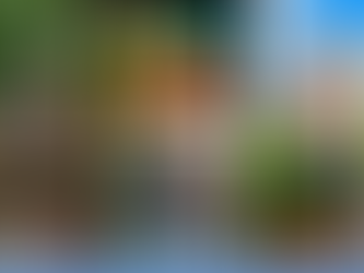 Alcohol-Free Travel in Bali: Hangovers Not Included