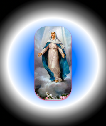 Simulator Screen Shot - iphone 14 pro max - 2022-10-28 at 08.53.58.png