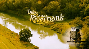 Tales Of the Riverbank film title page