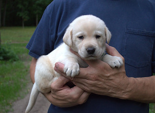 Green-4 Week.jpg