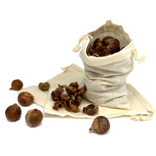 organic soap nuts deseeded [sapindus mukorossi] Myster Wise Guy