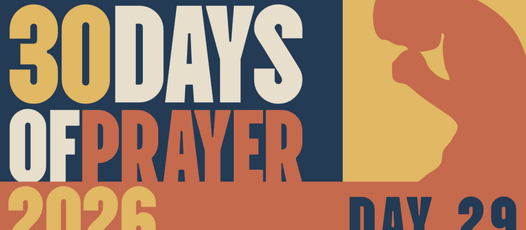 DAY 29 | PRAY FOR WISDOM AND PROTECTION