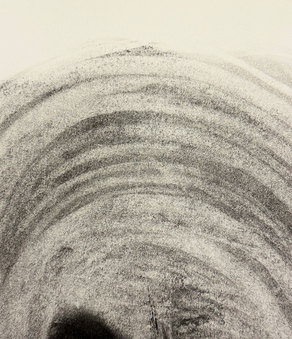 Thumbnail: UNTITLED ; Echoes, No.16 ~ Graphite Drawing on Paper