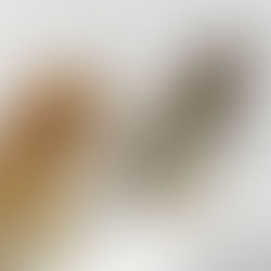 Maybe The Ultimate God is Fate