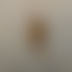 In The Calm Early Hours. Silence and Reverberations from Distant Beings Remind me: