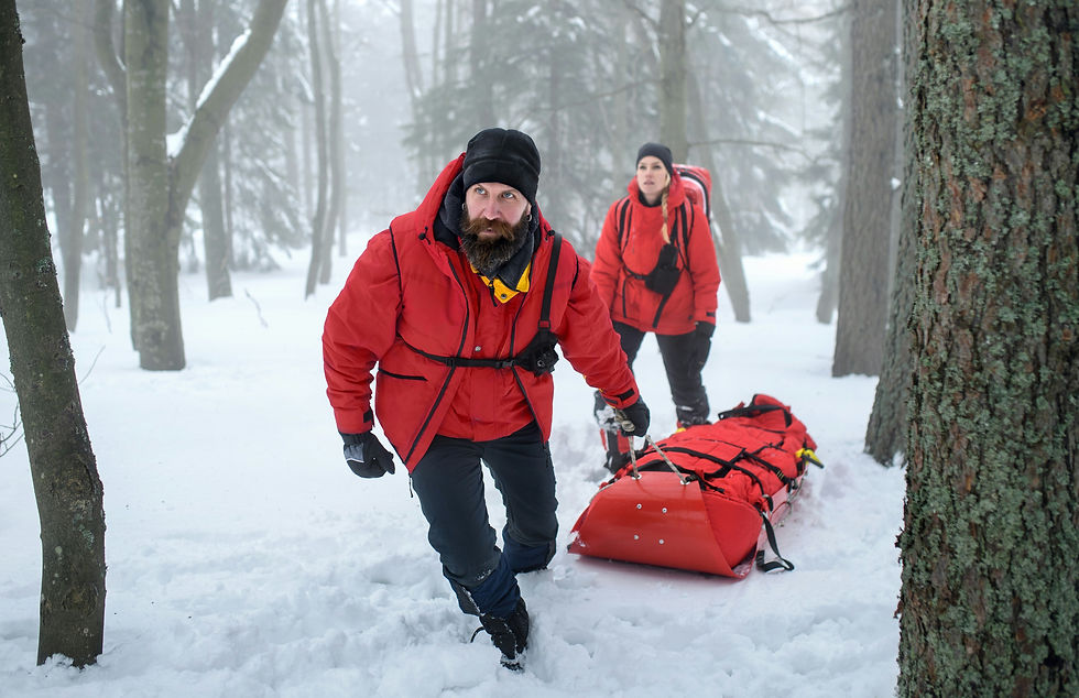 Rescue in the snow.jpg
