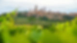 Tuscany 5.jpg