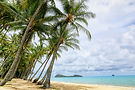 Palm Cove.jpg