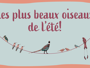 Nos propositions musicales pour l’été 2023!