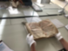 image9.jpeg