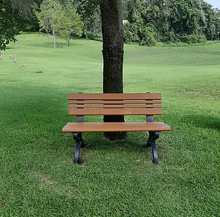 NEW BENCH.jpg