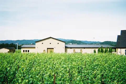 Kapsandi-Winery-TC600_Rutherford-California_TEX-COTE-Commercial.webp