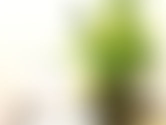 2022年も本当にありがとうございました。