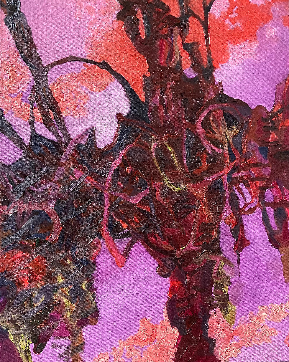 Lucia: Untitled