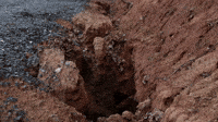 200w.gif