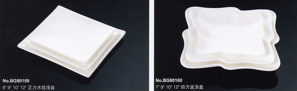 Thumbnail: 盘系列 B21