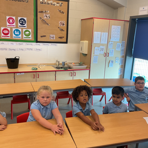 1st transition day.