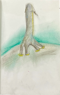 IMG_2915_edited.png