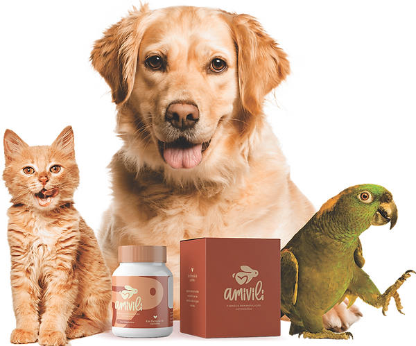 Cachorro, gato e papagaio ao lado de medicamentos manipulados com a marca Amivili, farmácia de manipulação veterinária especializada em cuidados personalizados para pets.
