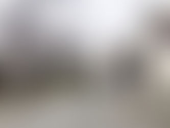 桜はまだまだ at 谷中霊園