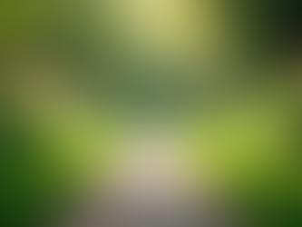 Exploring the Key Elements of Holistic Wellness