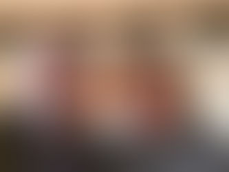 INTERVENTION SUR L'ANTENNE TV à Penestin avec IDLIGHT