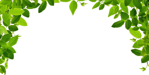 IMG_1672.GIF