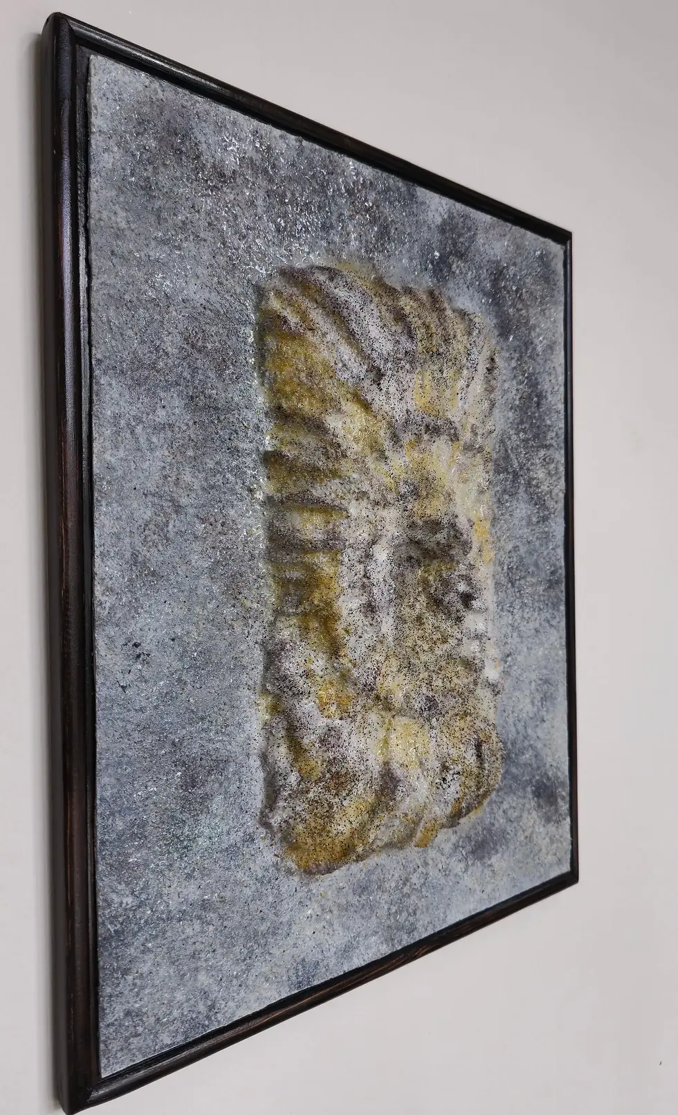Framed ammonite fossil art