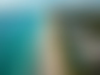 TRUEHN REAL ESTATE PORTFOLIO - MIAMI