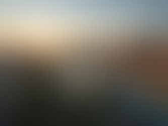 THE TRUEHN REAL ESTATE JOURNAL - THIS FEBRUARY - PRE ORDER NOW