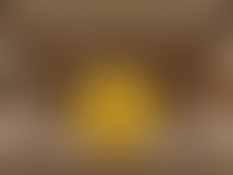 TRUEHN COMPASSION ART INVESTMENT FUND 