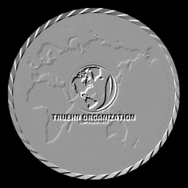 Writer: THE TRUEHN ORGANIZATION