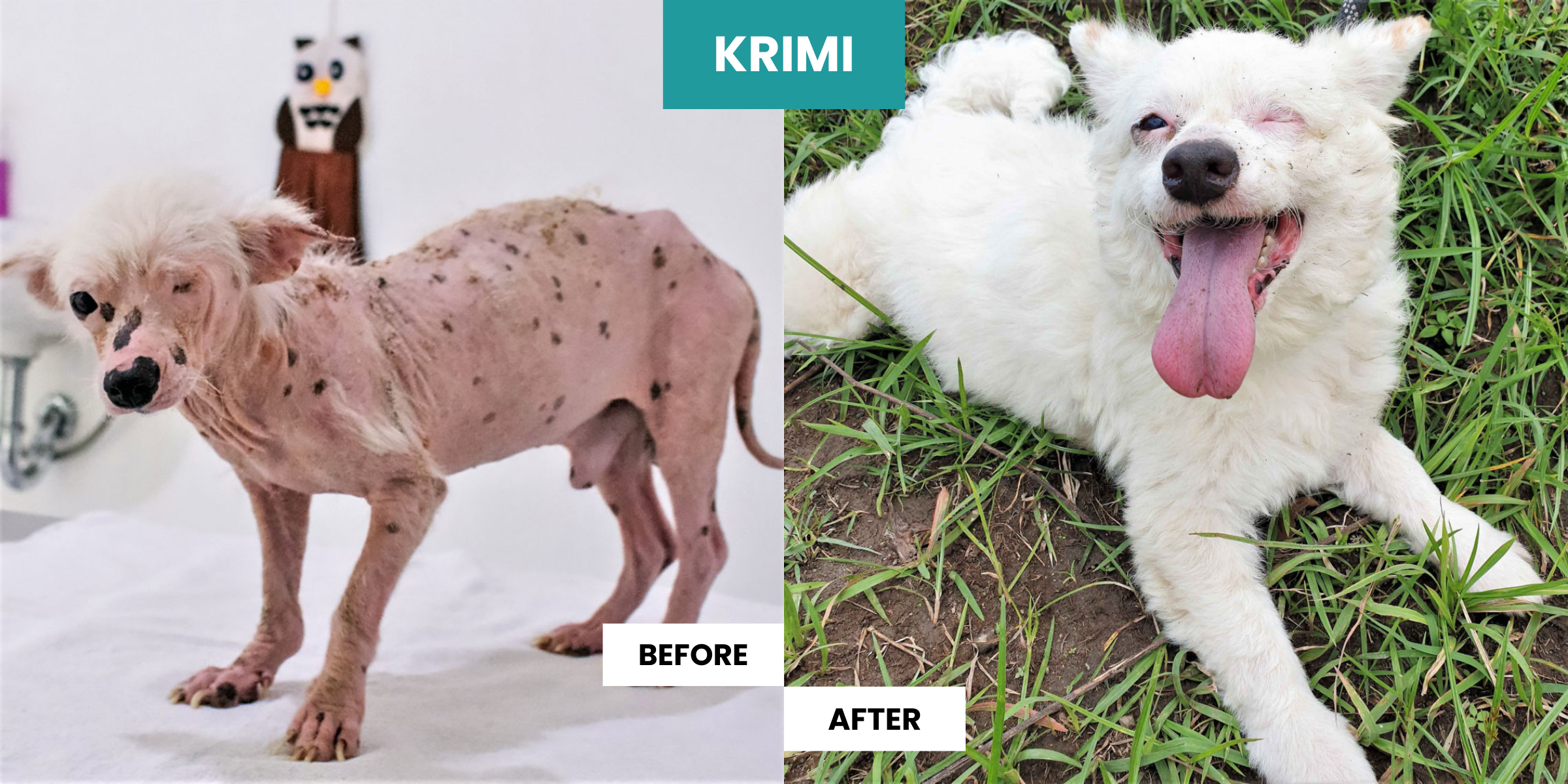 Transformation-Thursday-Krimi-Bawabali.webp