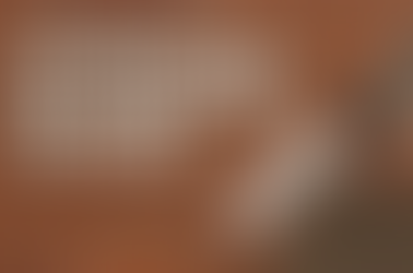 The Hidden Cost of DIY Masonry Repairs