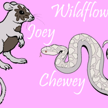 Chewey_and_Joey_by_muddy.png