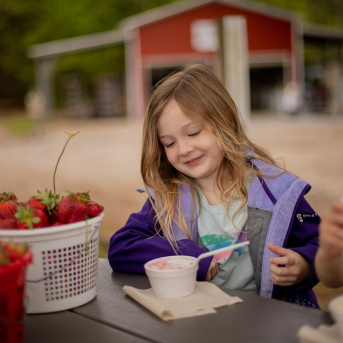 Strawberry Farm Hunter Farms Easley
