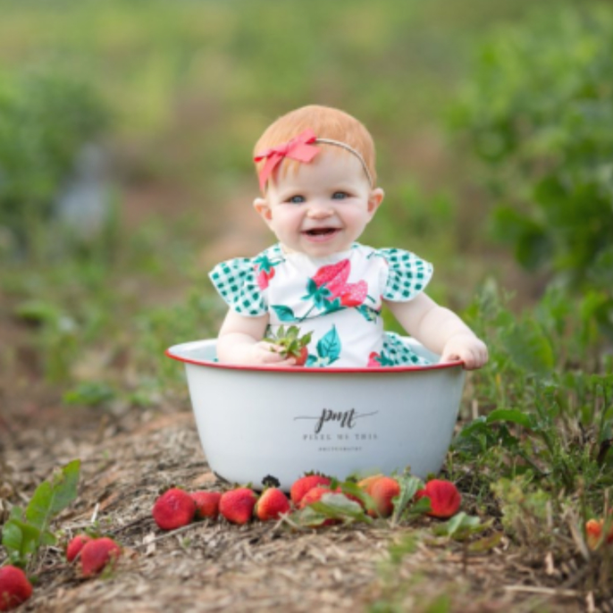 Strawberry Farm Hunter Farms Easley