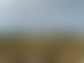 Reconocer y aceptar nuestra historia