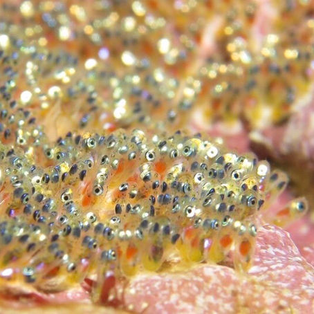 時化ておりますーー