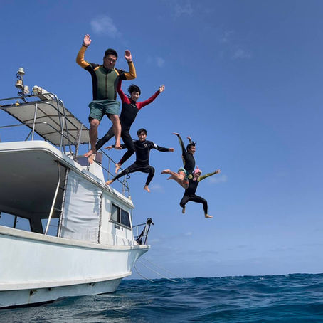 やっぱりマクロ(*'▽')