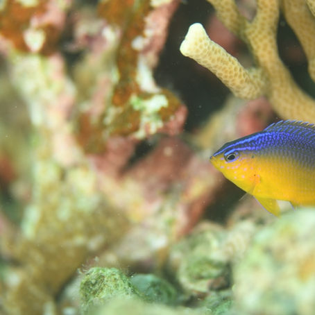 ２０２２年も宜しくお願い致します。