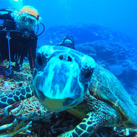 梅雨明けにぎやかＤＡＹ