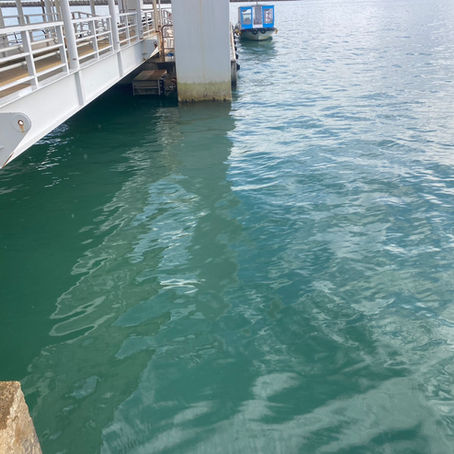 雨☔続く・・・・(T_T)/~~~