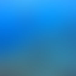 衝撃の捕食シーン！