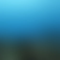 リベンジ・・・