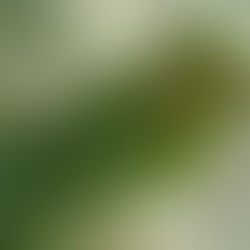 充実した１日です(^-^)