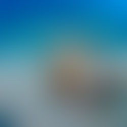 どっちがいいかねぇ・・